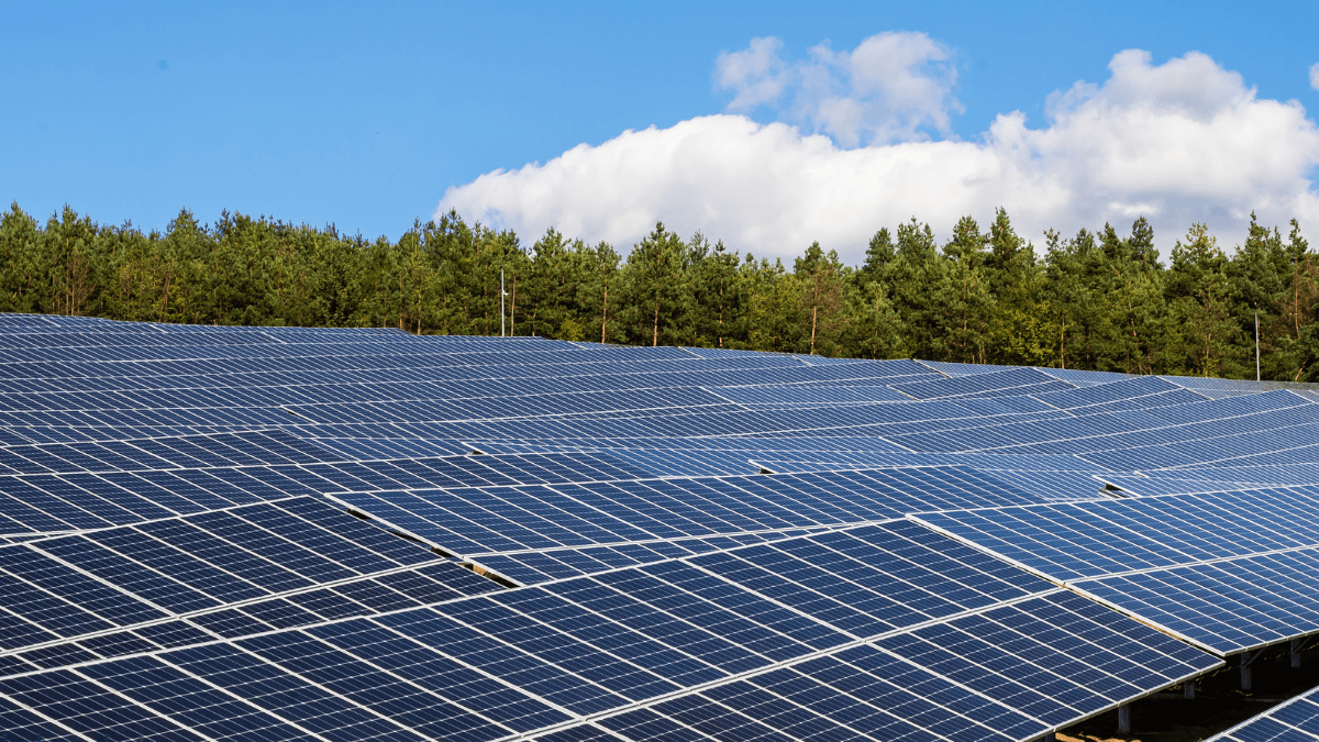 Large-scale lithium-ion battery containers integrated with a massive solar photovoltaic array in a desert environment.