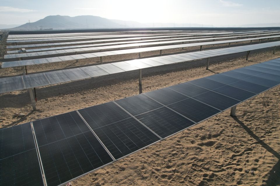 A large-scale utility solar farm under the bright sun in a desert landscape.