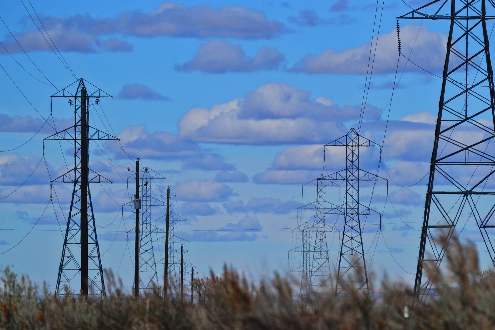 Large scale solar farm with high voltage transmission lines in the background under a clear sky.