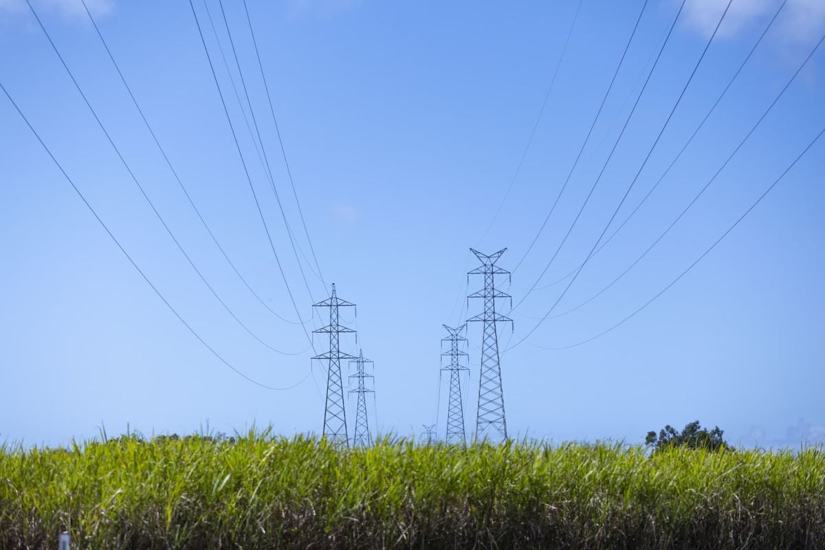 High-voltage transmission lines stretching across a vast, sun-drenched landscape representing large-scale energy infrastructure investment.