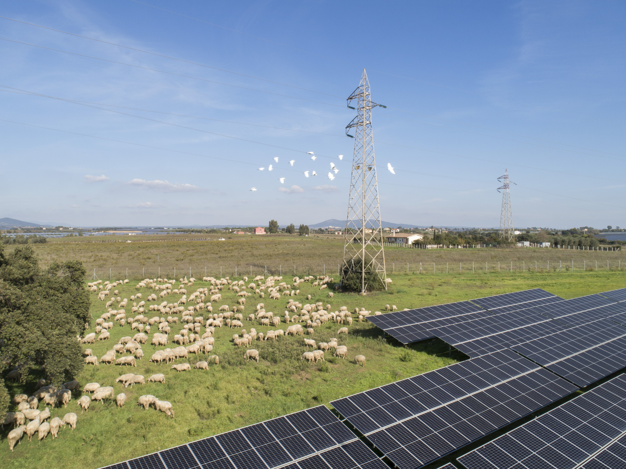 A Spanish solar farm overlayed with a tax document and a red '7%' warning label.