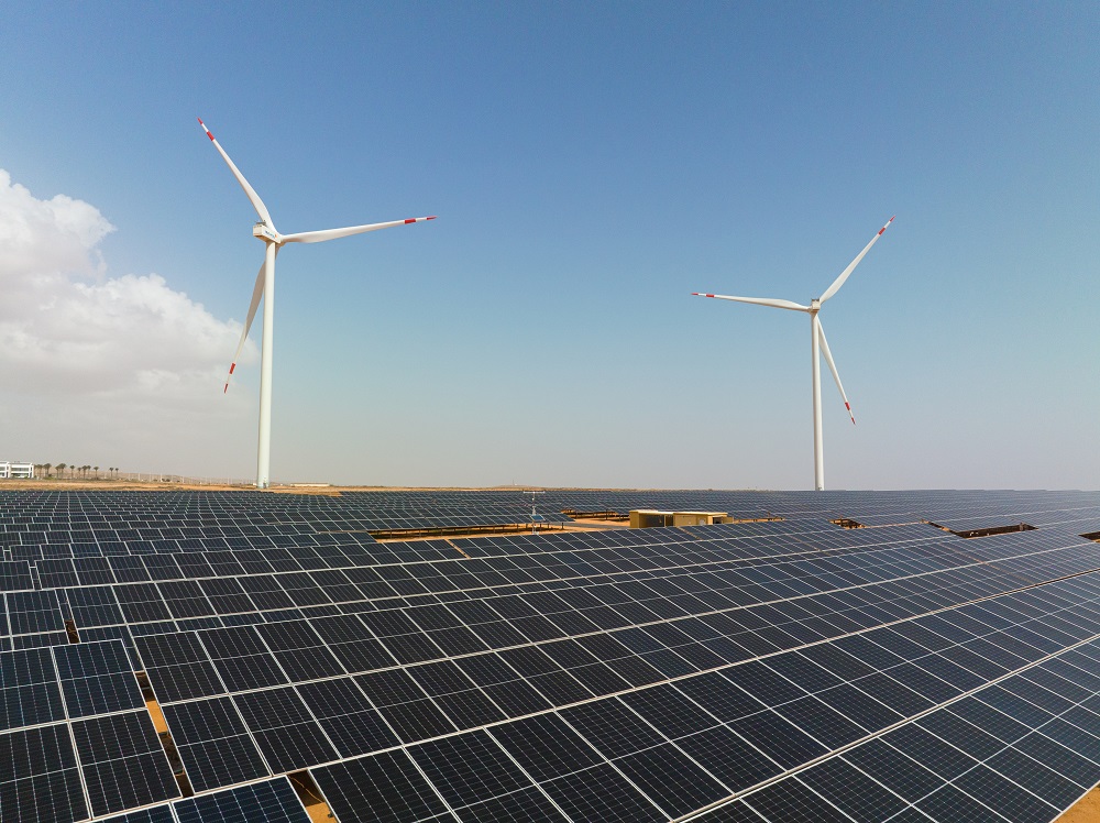 Large scale solar farm on dry, rocky terrain typical of the Canary Islands.
