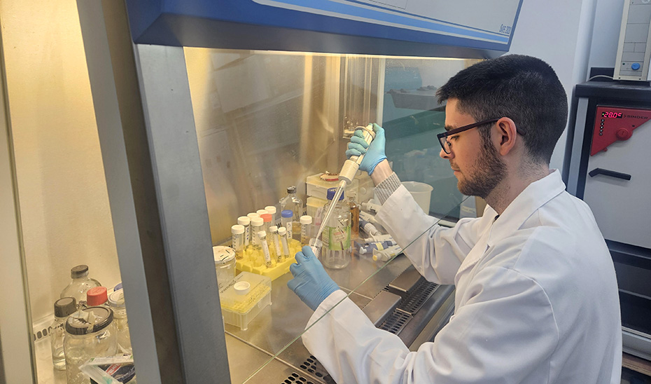 A glass laboratory bioreactor setup with green bacterial cultures and hydrogen gas collection apparatus.