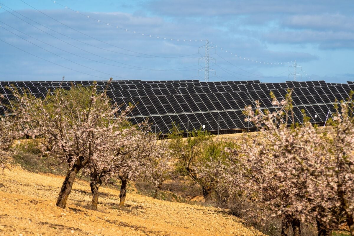 Aerial view of a large-scale utility solar farm in a dry, sun-drenched European landscape.