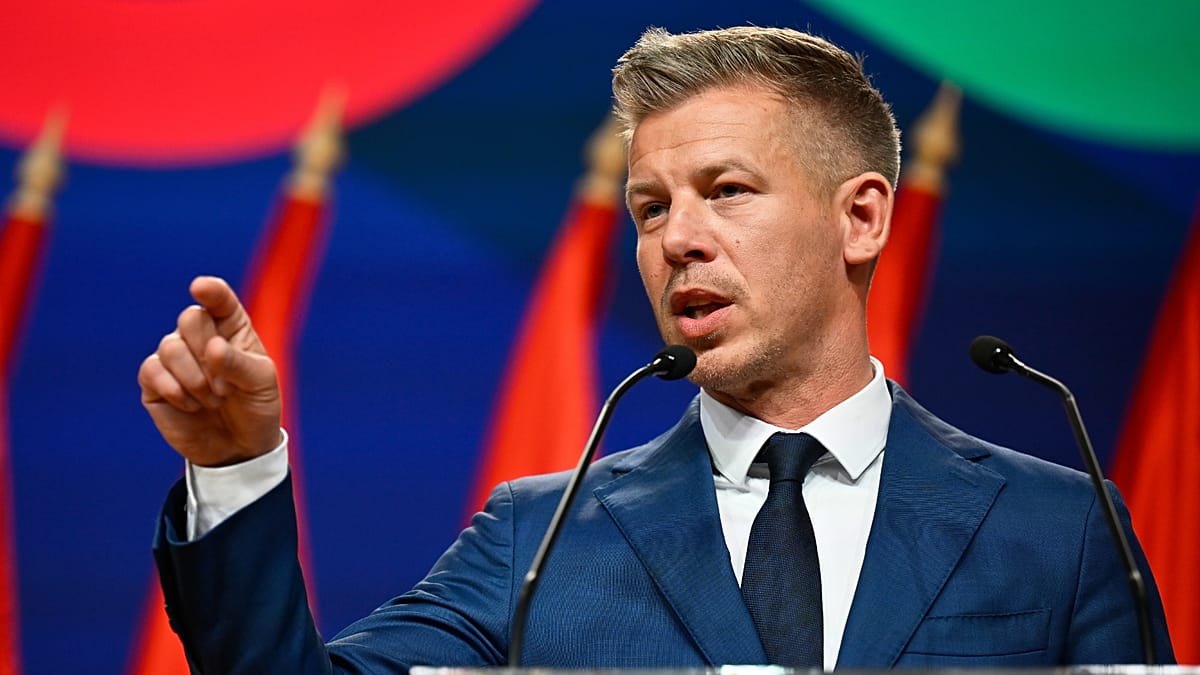 Solar panels installed on a residential rooftop in a Hungarian suburban neighborhood at sunset