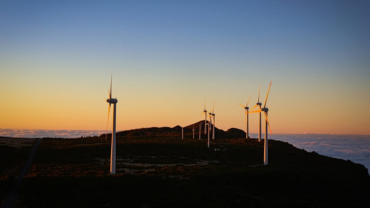 A vast field of solar panels integrated with wind turbines under a bright Portuguese sky.