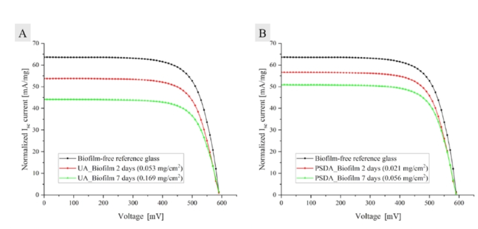 Close up of a solar panel glass surface covered in a thin, cloudy microbial biofilm.