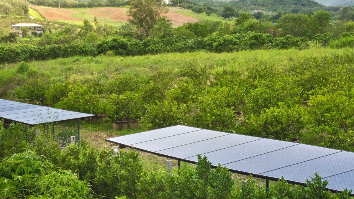 A generic representational image of solar panels on a field.