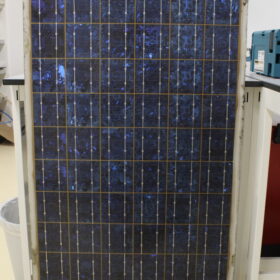 A technician inspecting a damaged solar module junction box with evidence of insect infestation.