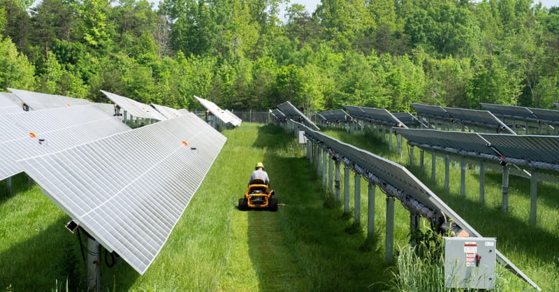 A large-scale community solar farm integrated into a rural agricultural landscape.