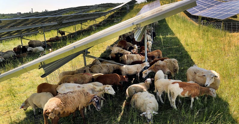 A large-scale solar farm layout with rural landscape in the background during sunset
