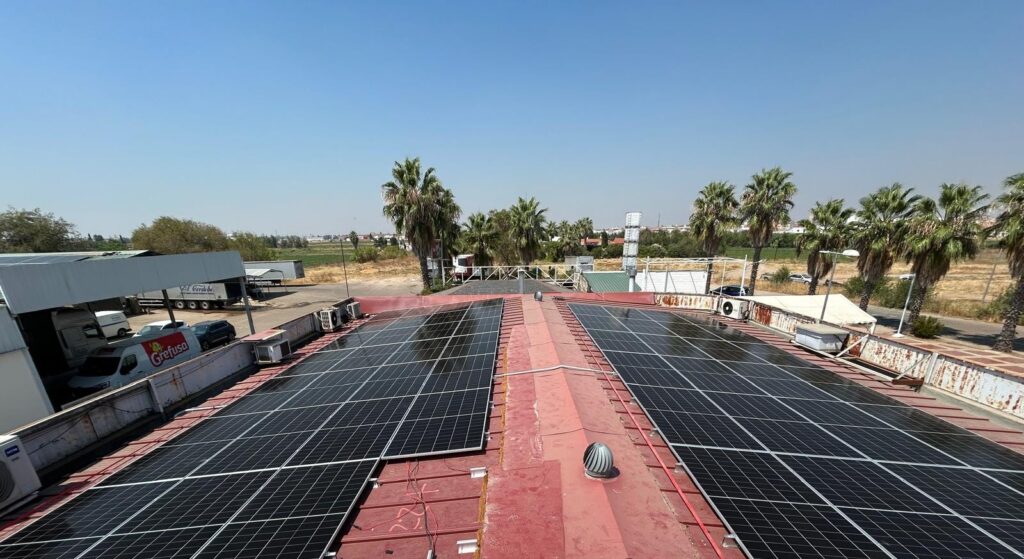 Solar panels installed on the canopy of a gas station in Badajoz, Spain