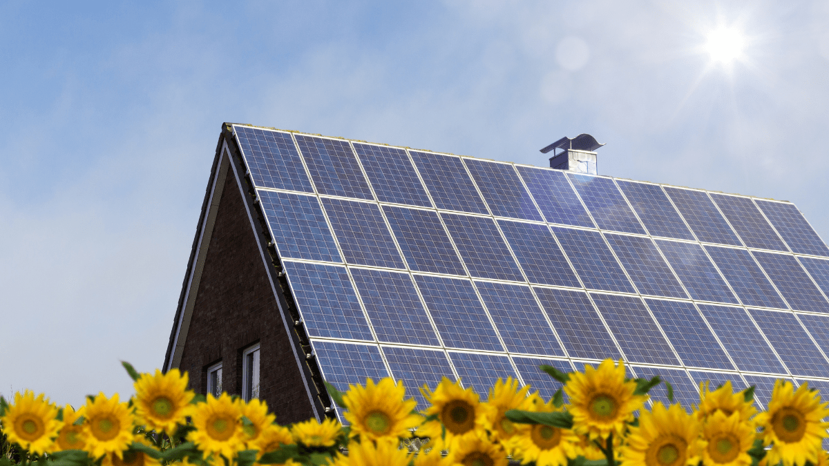 Large scale industrial rooftop solar panel installation on a modern manufacturing facility