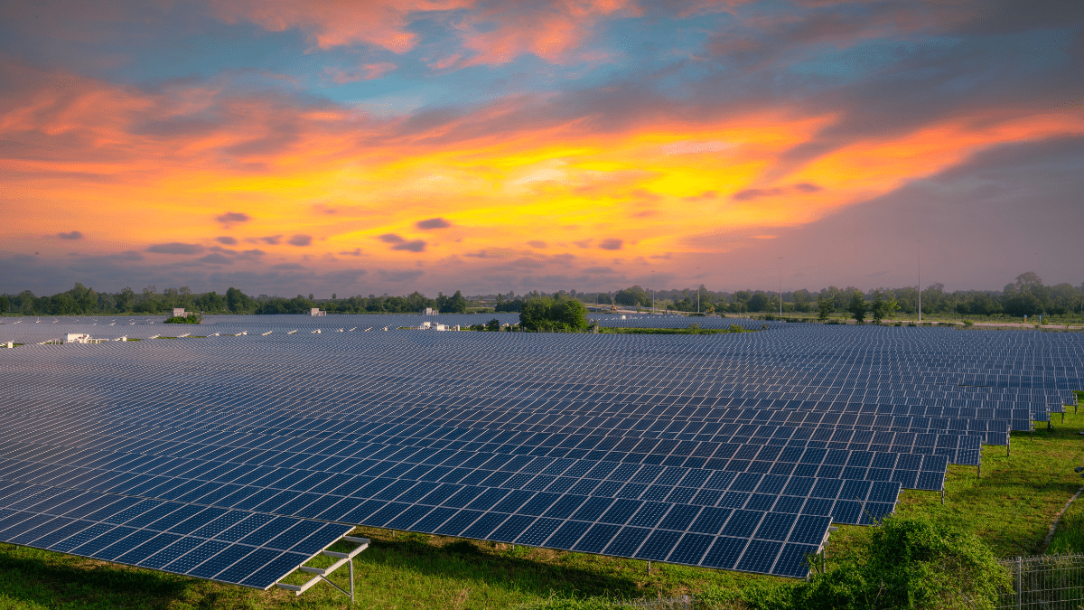 Solar PV modules arranged in rows at a large-scale manufacturing facility.