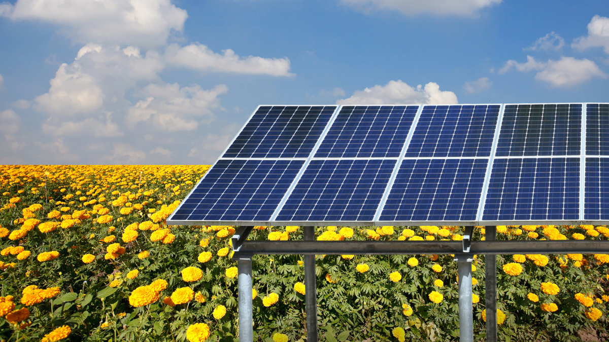 Large scale solar farm installation in a rural landscape under clear skies