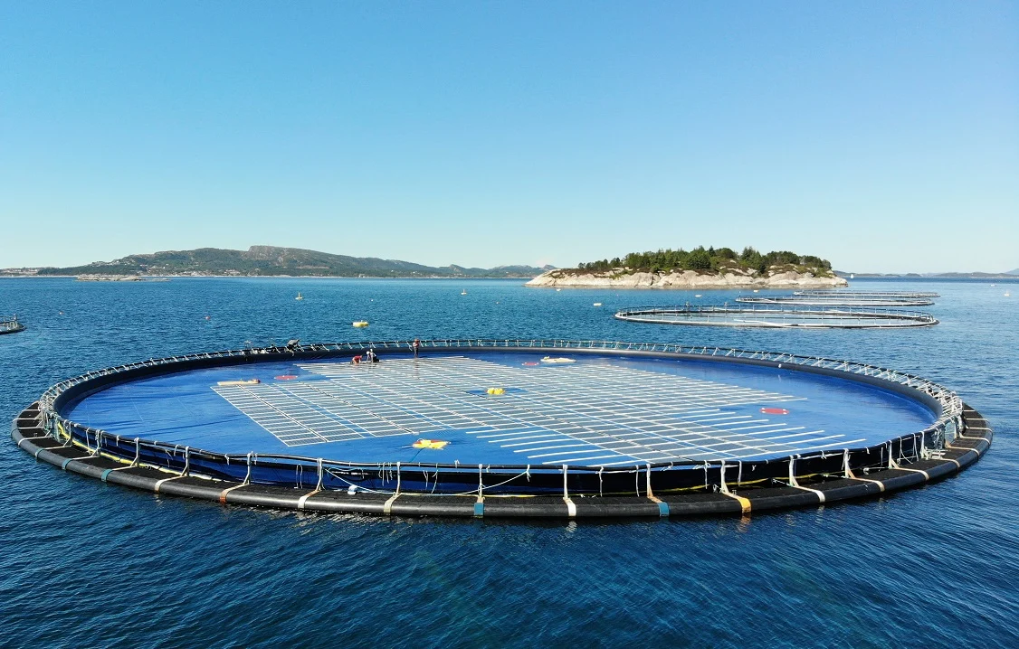 Ocean Sun floating solar membrane installation on a calm water body with solar panels.