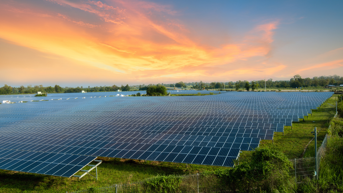 A vast, open-field solar farm under a clear blue sky