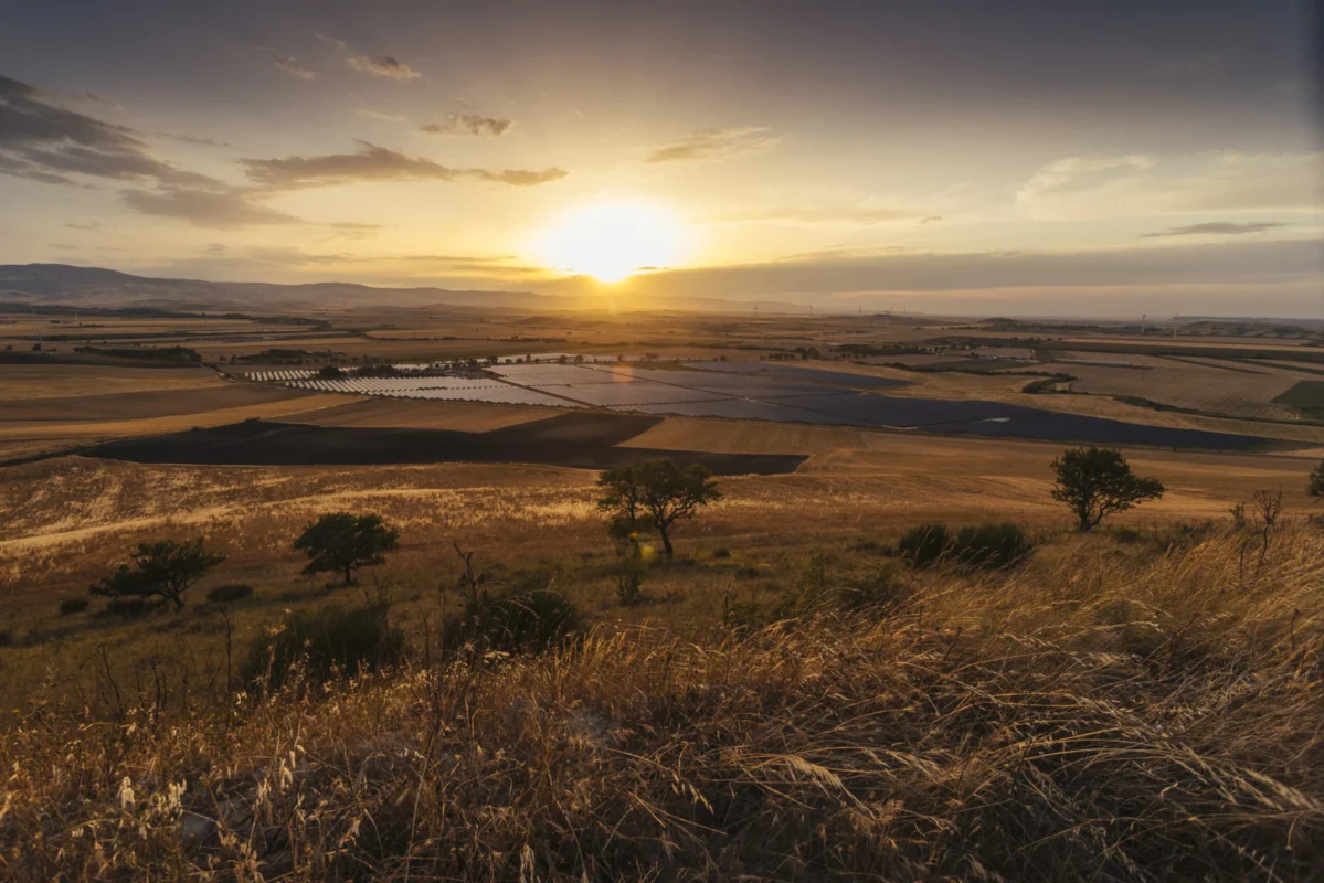 Large scale solar panels installed over agricultural land in a sunny Mediterranean landscape
