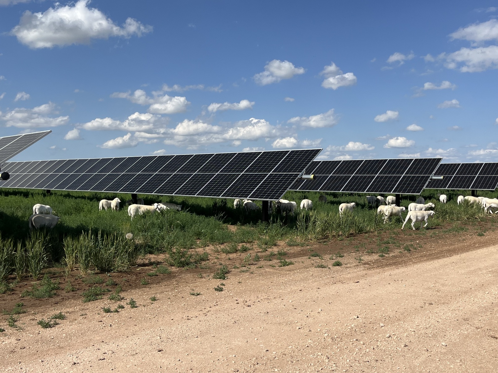 Aerial view of a massive utility-scale solar farm construction site with tracker systems under a clear sky.