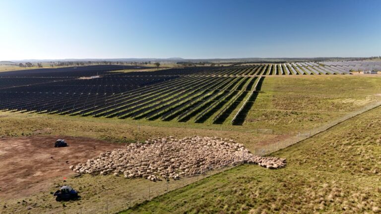 Aerial view of a massive solar array with single-axis trackers in the Australian outback